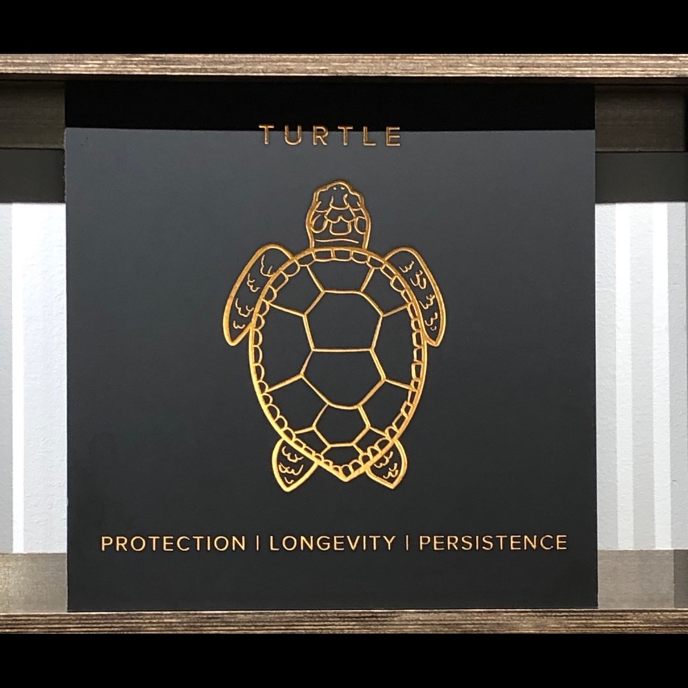 Meet your Posher, Anne